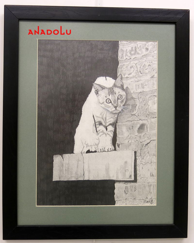 Anadolu Çizim Dersleri Adana Anadolu Çizim Dersleri Adana Anadolu Çizim Dersleri Adana