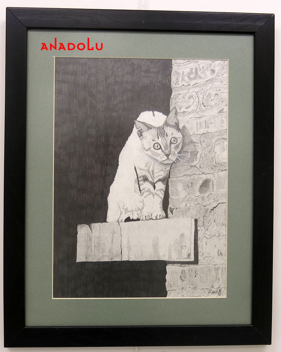 Anadolu Çizim Dersleri Adana Anadolu Çizim Dersleri Adana Anadolu Çizim Dersleri Adana