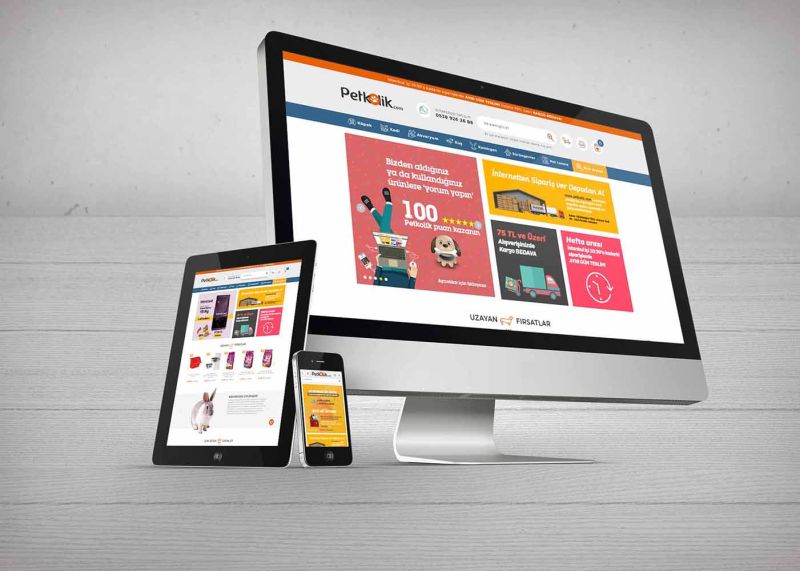 Web Tasarim Dersleri Basladi Adana