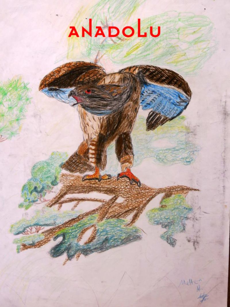 Çocuklara Yönelik Özel Resim Eğitimleri Adana Çocuklara Yönelik Özel Resim Eğitimleri Adana Çocuklara Yönelik Özel Resim Eğitimleri Adana