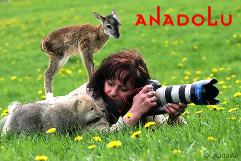 Adana Doğa Fotoğrafı Çekimleri Adana Doğa Fotoğrafı Çekimleri Adana Doğa Fotoğrafı Çekimleri Adana Doğa Fotoğrafı Çekimleri Adana Doğa Fotoğrafı Çekimleri