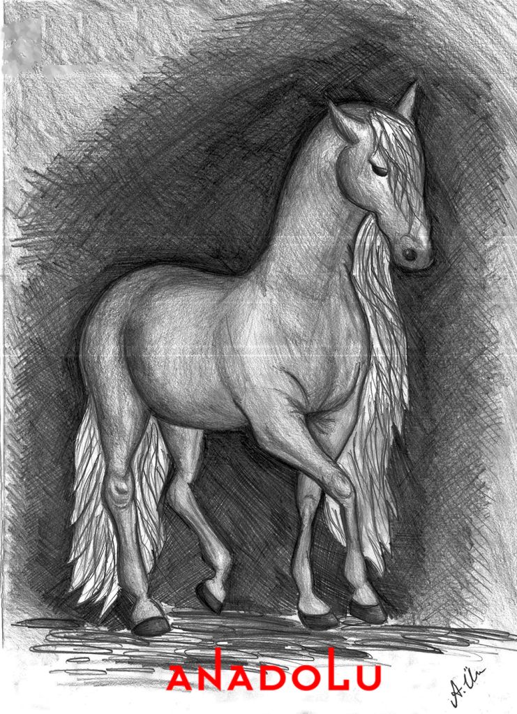 Adana kara kalem at çalışması Adana kara kalem at çalışması Adana kara kalem at çalışması